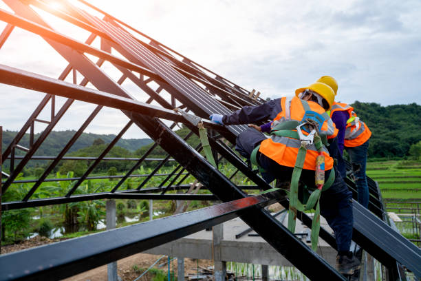 Best Flat Roof Repair Services  in Maple Lake, MN