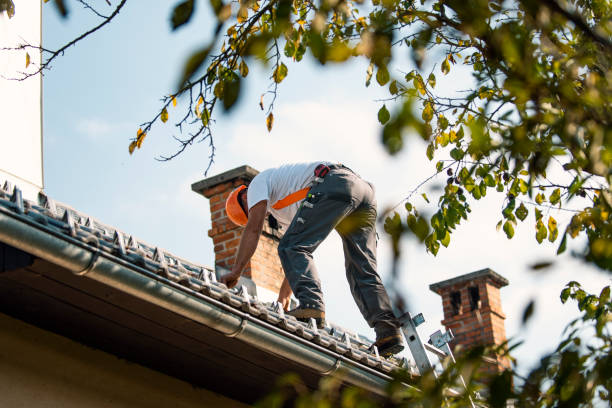 Best Roof Gutter Cleaning  in Maple Lake, MN