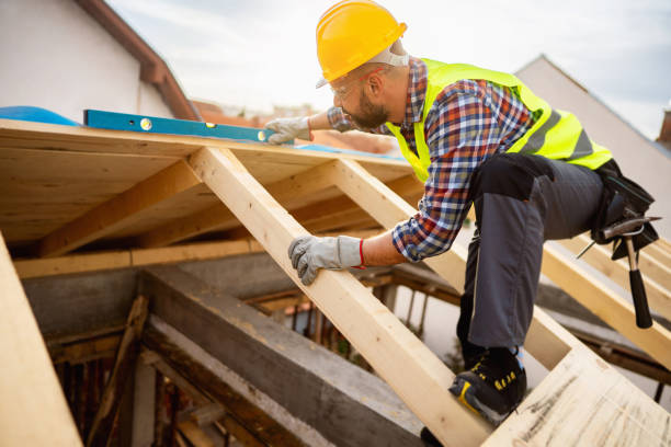 Best Shingle Roofing Installation  in Maple Lake, MN