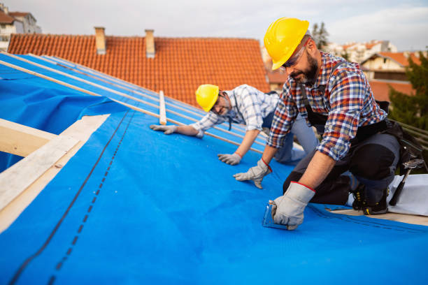Best Roof Repair Services  in Maple Lake, MN