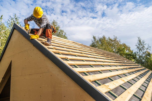 Best New Roof Installation  in Maple Lake, MN
