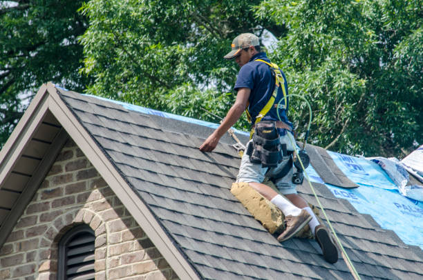 Best Metal Roofing Contractor  in Maple Lake, MN